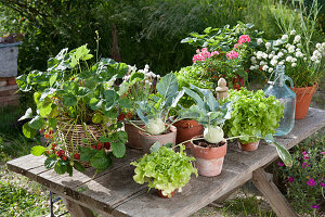 Topf - Arrangement mit Kohlrabi, Erdbeeren, Salat, Schnittlauch und Petersilie auf Terrassentisch