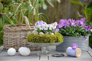 Moss wreath, filled with horned violets and quail eggs