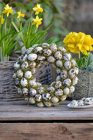 Wreath of quail eggs together with daffidils on a plant box
