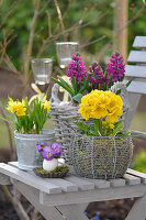 Osterdeko mit Narzissen, Hyazinthen, Primeln auf einem Gartenstuhl, kleiner Strauß aus Hornveilchen in Ei