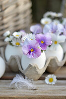 Chicken eggs as a vase with flowers of daisies and horned violets