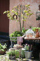 Flowers, plants and vintage accessories in courtyard