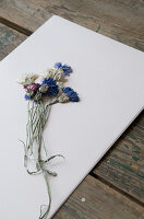 Dried cornflowers on white paper