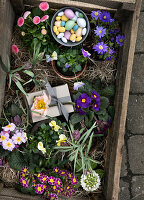 Spring flowers, gift and Easter eggs in a wooden box with wood shavings