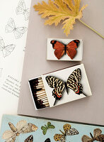 Matchboxes glued with butterfly motifs