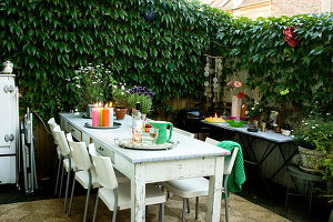 Set table in the backyard garden with wild wine against the wall