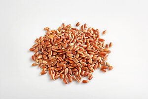Red rice from Camargue, France