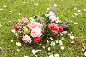 Roses, chamomile and salvias in Sussex trug on lawn