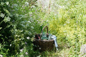 Basket between meadow flowers in the natural garden