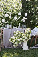 Table set in white and beige in garden in front of viburnum bush