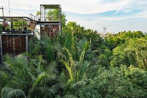 'Bangkok Tree House' eco hotel, Bang Krachao, Bangkok, Thailand