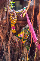 A spirit tree, Bangkok, Thailand