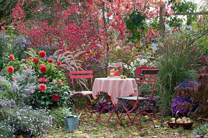 Sitzplatz im Herbstgarten am Beet mit Aster, Dahlie, Rispenhortensie, Herbstanemone, Spindelstrauch, Reitgras und Federborstengras