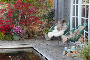 Autumn at the swimming pool, Acapulco armchair with fur and blanket, chrysanthemums, grass, and Japanese maple