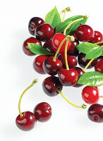 Cherries with leaves