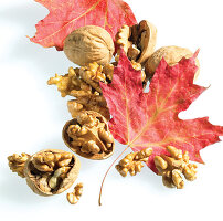 Maple leaves with Walnuts