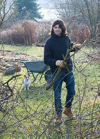 Autumn work in the garden: man cleans up sawed branches