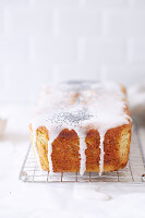 Moist poppyseed and lemon cake on a cooling rack