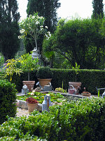 Lily pond in Mediterranean garden