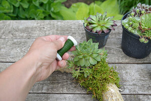 Tie a wreath with houseleek and moss on straw