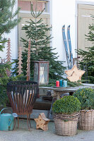 Rural Christmas terrace with Nordmann firs, box trees, fire basket, wooden stars, lantern and seating area