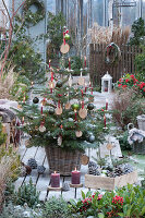 Nordmanntanne geschmückt mit Holzscheiben, Christbaumkugeln, Lichterkette und Kerzen
