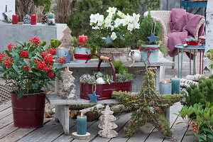 Christmas decorations on the terrace: Christmas rose, star made of moss, twigs and cones, candles, sugar loaf spruce, fir trees made of bark and conifer branches