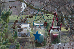 Mason jars hung on a larch branch as lanterns, decorated for Christmas with stars and cones