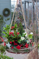Hanging decoration with skimmia fruit, Christmas rose and sugar loaf spruce in a wreath of tendrils, decorated with cones