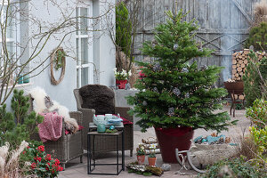 Weihnachtsterrasse mit Nordmanntanne als Weihnachtsbaum, Korbsessel mit Fell als Sitzplatz