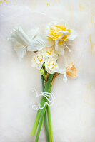 Strauß aus weiß blühenden Narzissen (Narzissus Katie Heath, Narcissus Pure White, Narcissus Bridal Crown, Narcissus Double Pam)