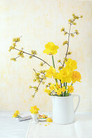 Narcissus and flowering branches of cornelian cherry in old jug