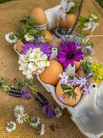 Blüten in Eierschalen