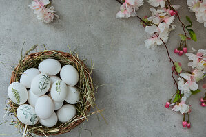 Painted Easter eggs in an Easter basket and a blooming cherry branch