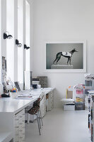 Photo of greyhound and long desk in white studio