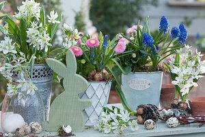 Easter arrangement with a milk star, daisy, grape hyacinth, eggs and an Easter bunny