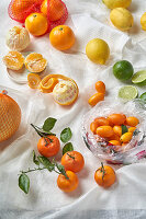Various citrus fruit - lemon, lime, kumquat, pomelo, mandarine and orange