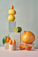 Various citrus fruit - lime, lemon, orange, mandarine, pomelo and kumquats