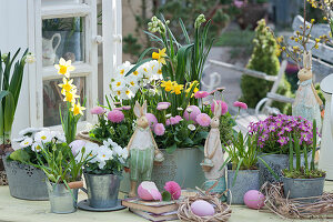 Daisy, daffodils, primroses and grape hyacinths in tin bowls, moss saxifrage, horned violets in zinc cups, Easter eggs and Easter bunnies