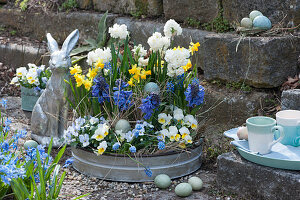 Bowl with daffodils 'Erlicheer' 'Tete a Tete', hyacinths, horned violets and grape hyacinths, Easter with Easter bunny and Easter eggs, tray with cups