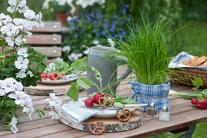 Set table for the Bavarian snack: plate with radishes and pretzels on wooden discs, pot with chives and beer mug