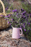 Posy of butterfly lavender