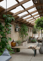 Beer-garden benches used as partition in conservatory with brick walls