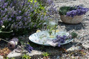 Schale mit Lavendel-Strauß, Krug und Gläser mit Limetten-Minze-Wasser, blühender Lavendel im Beet