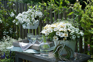 Willkommens-Arrangement mit Kapkörbchen, Verbene, Zauberschnee, Schneeflockenblume, Graskranz, Karaffe und Gläser auf Bank am Zaun