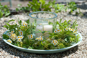 Lantern in a wreath of feverfew, climbing cucumber and lady's mantle on a wide bowl