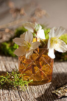 Christmas rose blossoms in a glass