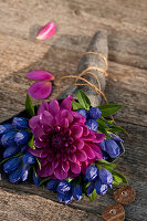 Closed Gentiana with dahlia blossom made into a bouquet