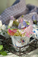 Kleine Tassen mit Duftwicken und Dill-Blüten
