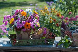 Colorful bouquet from the cottage garden with phlox, marigold, borage and unripe blackberries in a clay pot